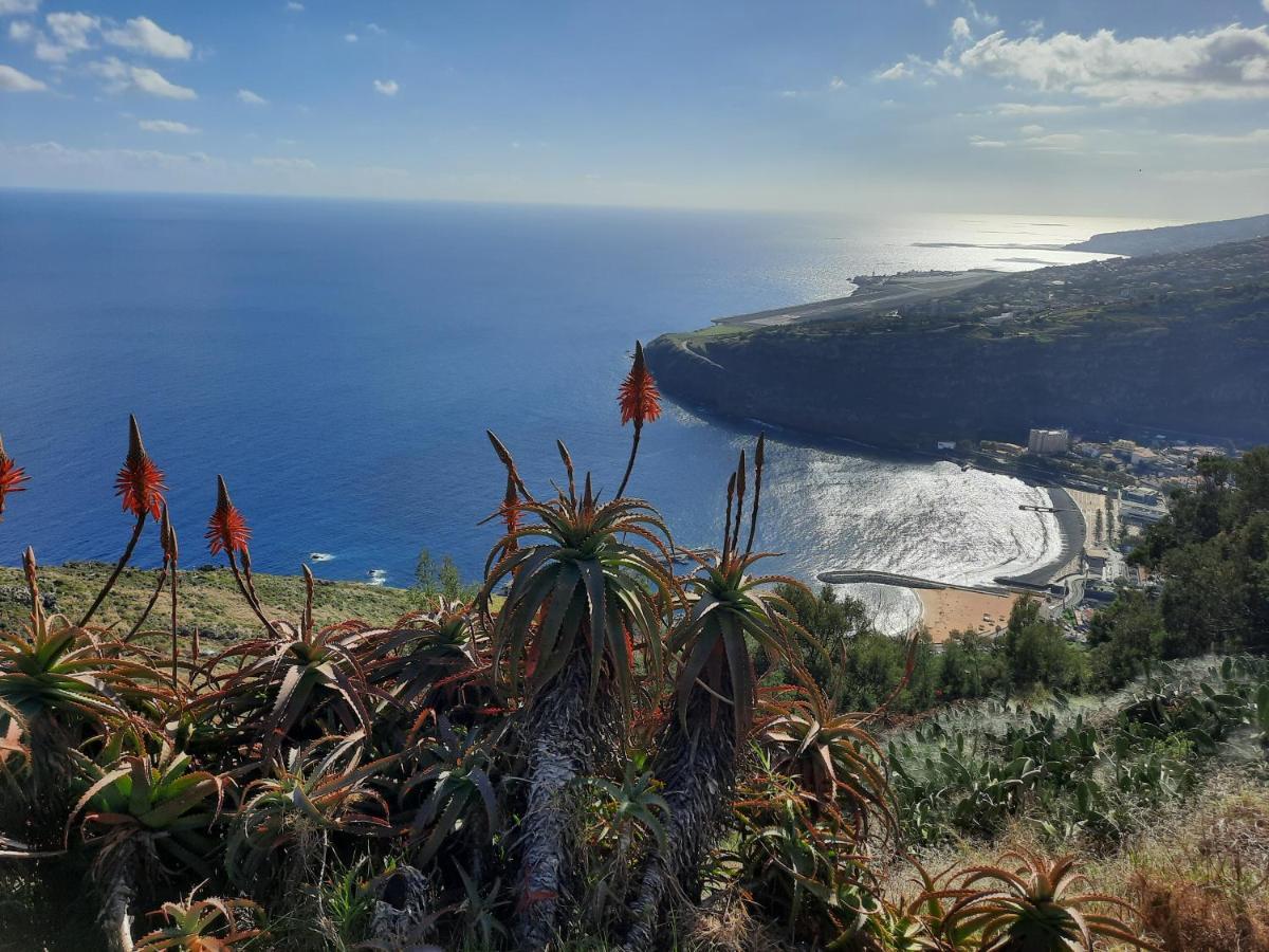 Sunny Beach Machico Apartment By Hr Madeira Eksteriør billede